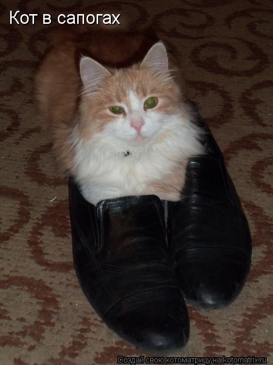 Котоматрица: Кот в сапогах