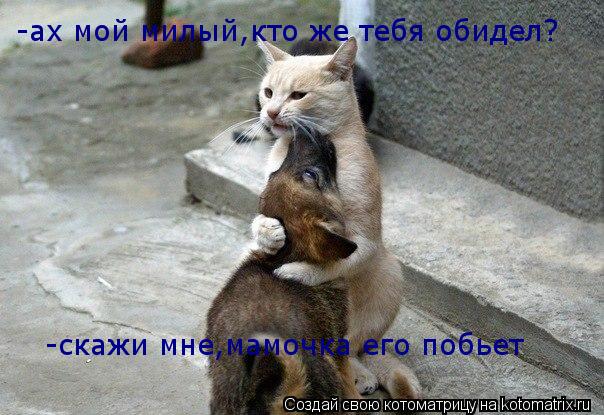 Котоматрица: -ах мой милый,кто же тебя обидел? -скажи мне,мамочка его побьет