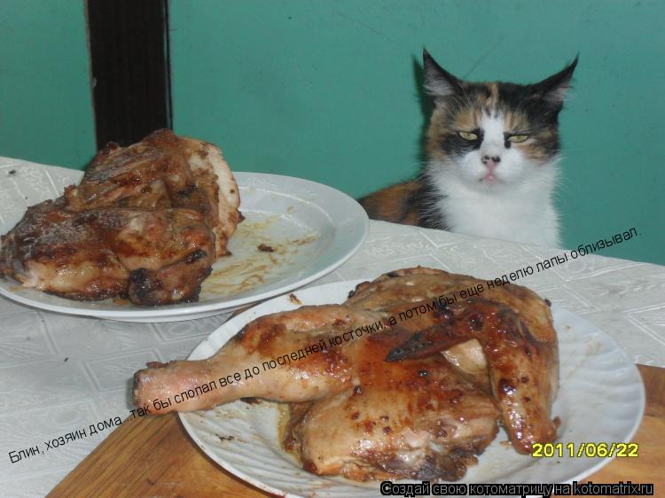 Котоматрица: Блин, хозяин дома...так бы слопал все до последней косточки, а потом бы еще неделю лапы облизывал.
