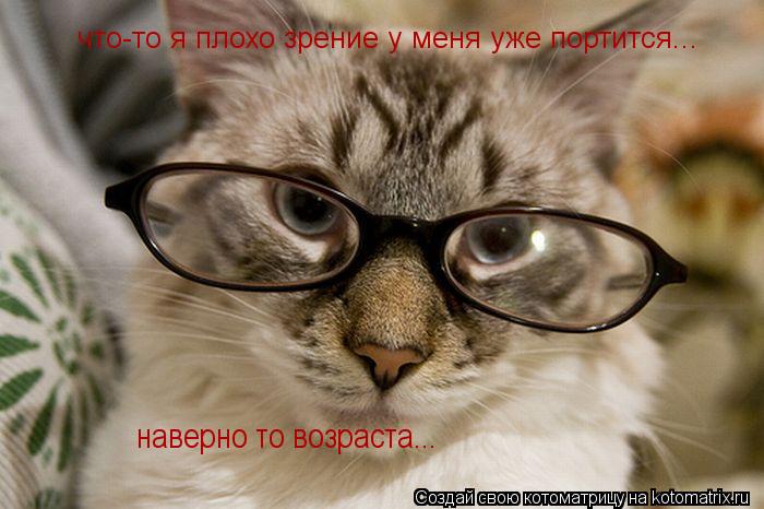 Котоматрица: что-то я плохо зрение у меня уже портится... наверно то возраста...