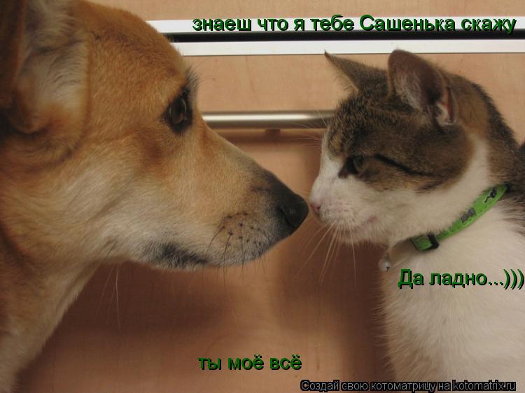 Котоматрица: ты моё всё знаеш что я тебе Сашенька скажу знаеш что я тебе Сашенька скажу Да ладно...)))
