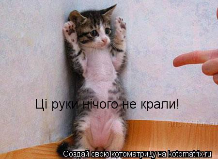 Котоматрица: Цi руки нiчого не крали!