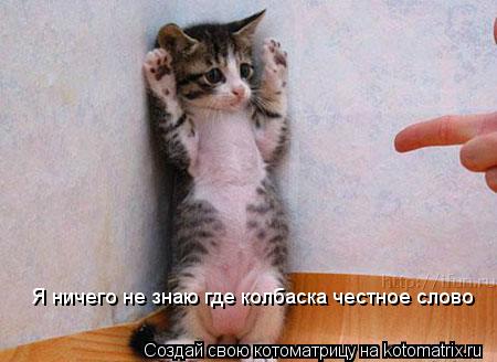 Котоматрица: Я ничего не знаю где колбаска честное слово