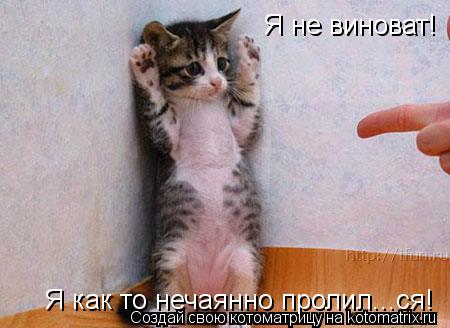 Котоматрица: Я не виноват! Я как то нечаянно пролил...ся!