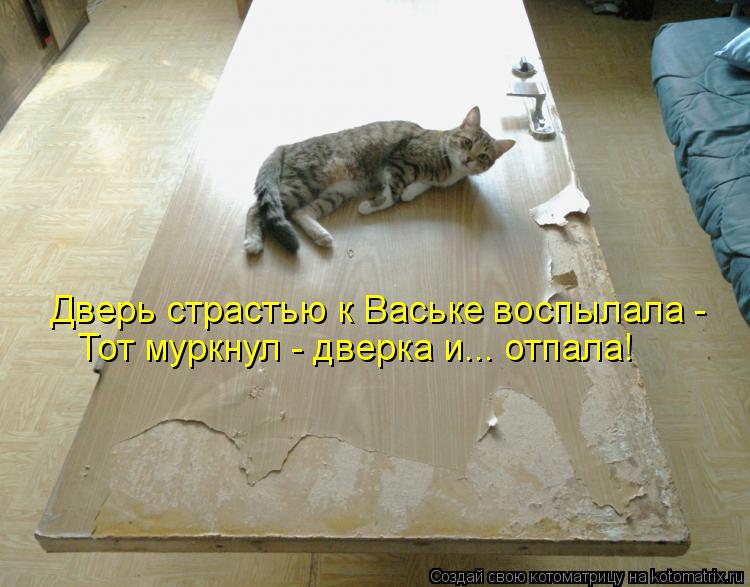 Котоматрица: Дверь страстью к Ваське воспылала -  Тот муркнул - дверка и... отпала!