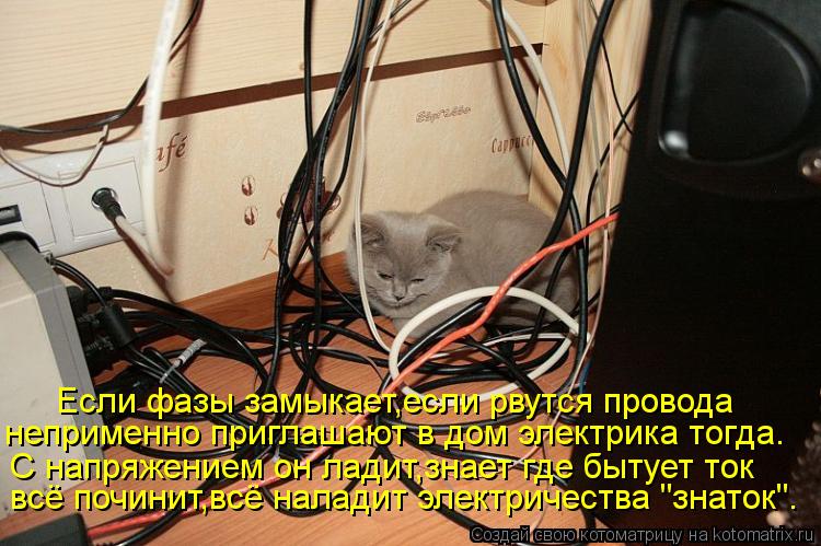 Котоматрица: Если фазы замыкает,если рвутся провода неприменно приглашают в дом электрика тогда. С напряжением он ладит,знает где бытует ток всё почини