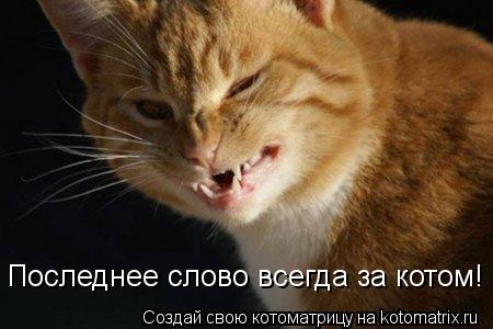 Котоматрица: Последнее слово всегда за котом!