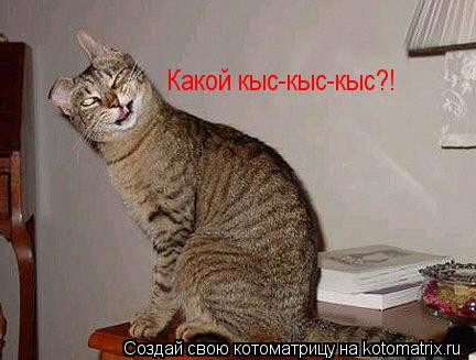 Котоматрица: Какой кыс-кыс-кыс?!