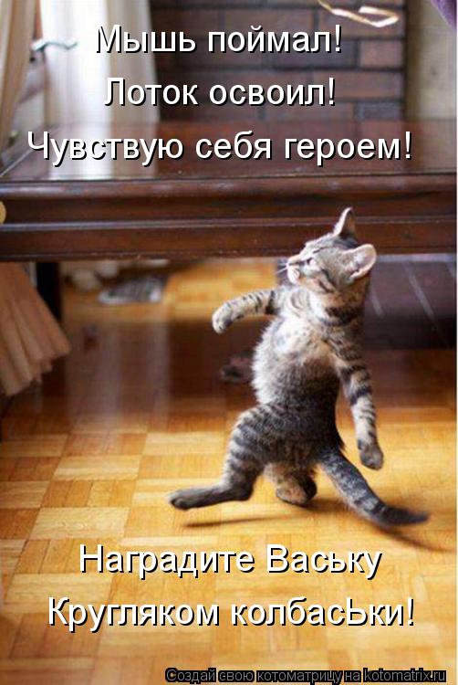 Мышь поймал! Лоток освоил! Чувствую себя героем! Наградите Ваську Кругляком колбасЬки!... Котоматрица: Мышь поймал! Лоток освоил! Чувствую себя героем! Наградите Ваську Кругляком колбасЬки!