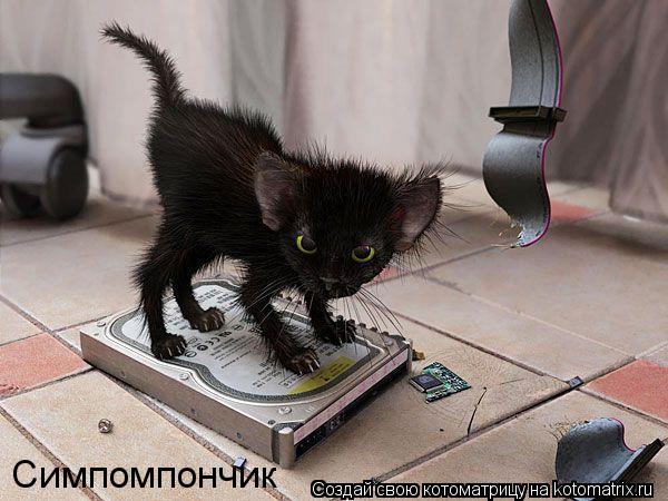 Котоматрица: Симпомпончик