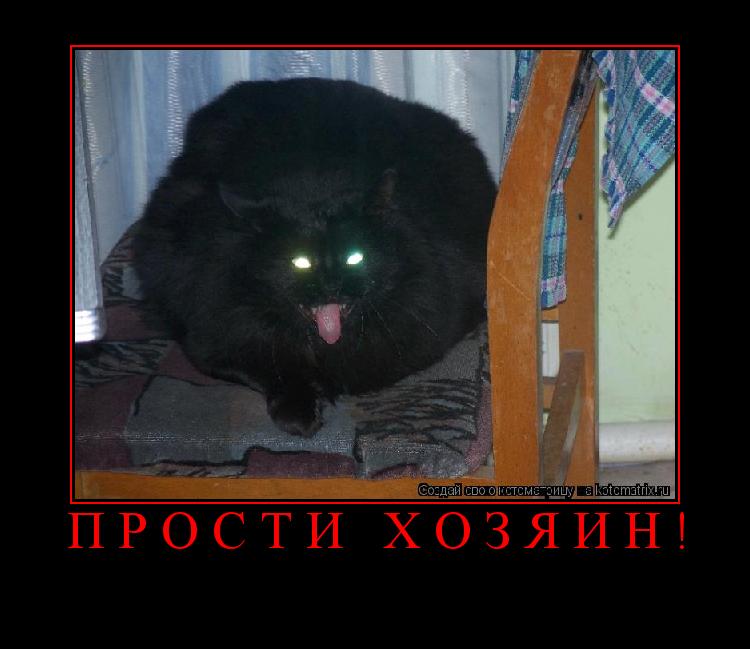 ПРОСТИ ХОЗЯИН! ... Котоматрица: ПРОСТИ ХОЗЯИН!