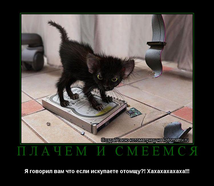 Котоматрица: Плачем и смеёмся Я говорил вам что если искупаете отомщу?! Хахахахахаха!!!