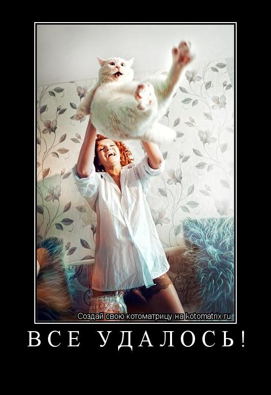 ВСЕ УДАЛОСЬ! ... Котоматрица: ВСЕ УДАЛОСЬ!