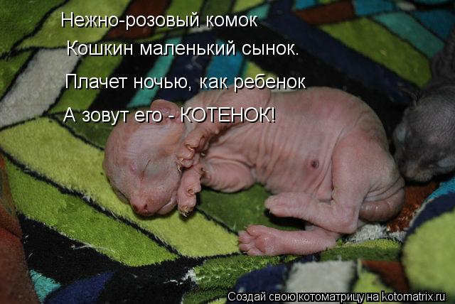 Котоматрица: Нежно-розовый комок Кошкин маленький сынок. Плачет ночью, как ребенок  А зовут его - КОТЕНОК!