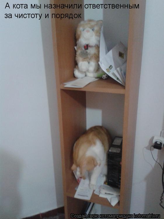Котоматрица: А кота мы назначили ответственным за чистоту и порядок