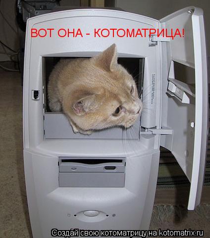 Котоматрица: ВОТ ОНА - КОТОМАТРИЦА!
