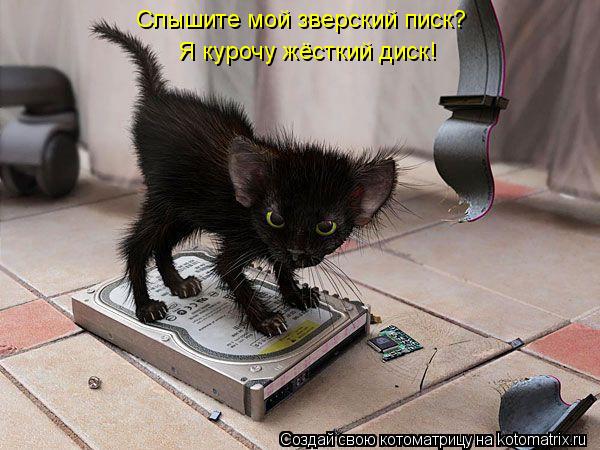 Котоматрица: Слышите мой зверский писк? Я курочу жёсткий диск!