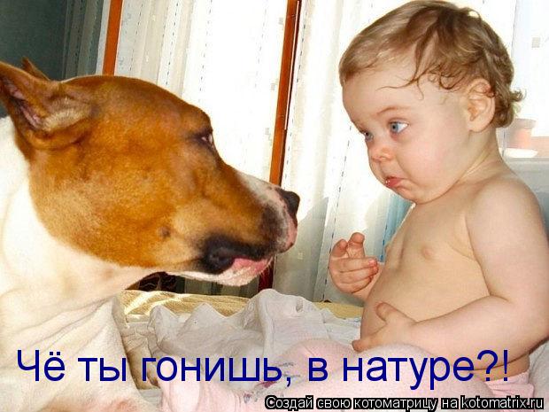 Котоматрица: Чё ты гонишь, в натуре?!