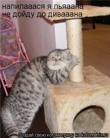Котоматрица: напилааася я пьяаана не дойду до дивааана