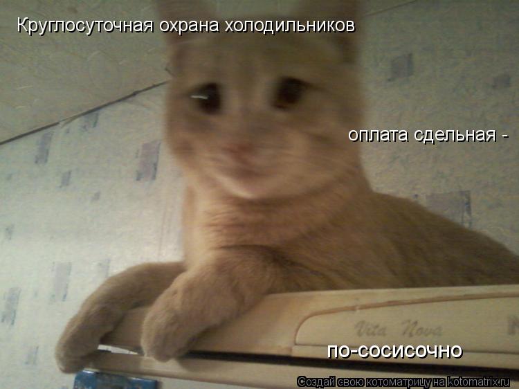 Котоматрица: Круглосуточная охрана холодильников оплата сдельная -  по-сосисочно