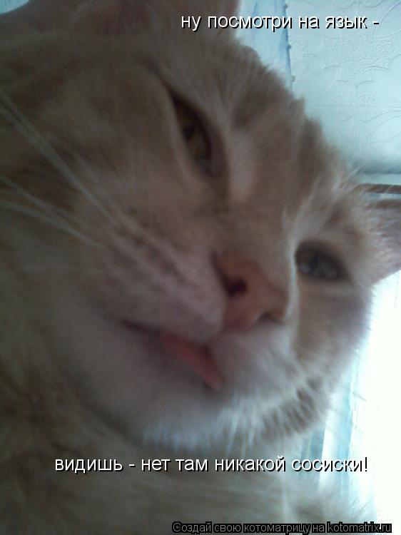 Котоматрица: ну посмотри на язык -  видишь - нет там никакой сосиски!