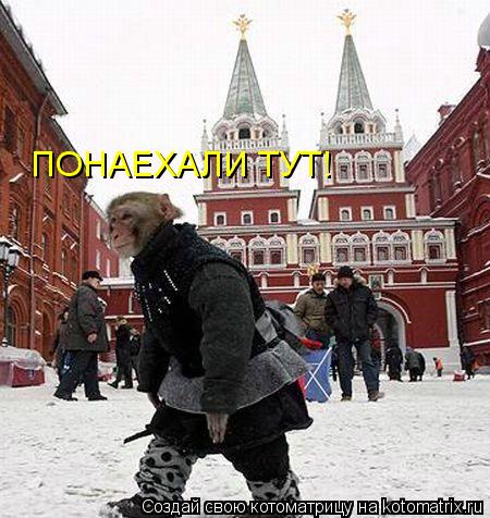 Котоматрица: ПОНАЕХАЛИ ТУТ!