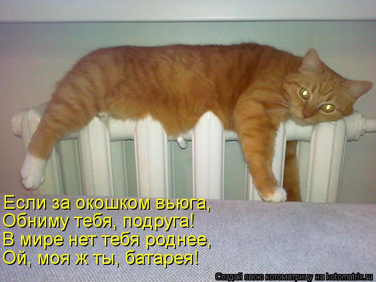 Если за окошком вьюга, Обниму тебя, подруга! В мире нет тебя роднее, Ой, моя ж ты, батарея!... Котоматрица: Если за окошком вьюга, Обниму тебя, подруга! В мире нет тебя роднее, Ой, моя ж ты, батарея!