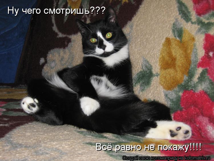 Котоматрица: Ну чего смотришь???  Всё равно не покажу!!!!
