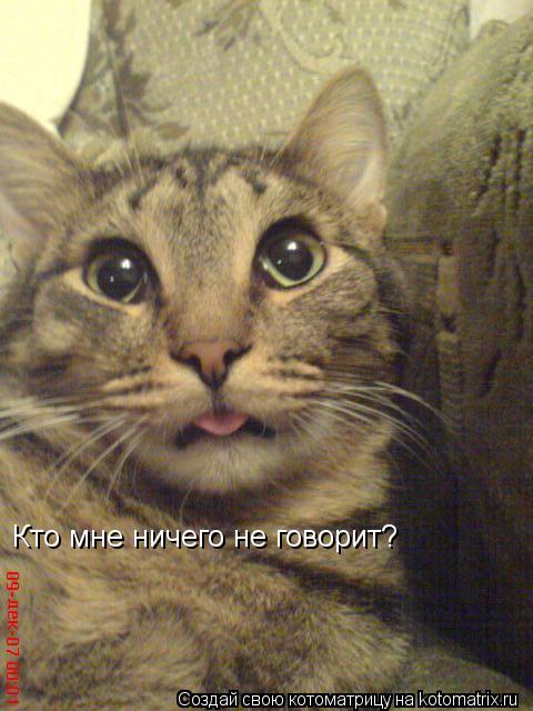 Котоматрица: Кто мне ничего не говорит?