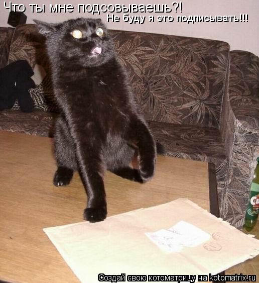 Котоматрица: Что ты мне подсовываешь?! Не буду я это подписывать!!!
