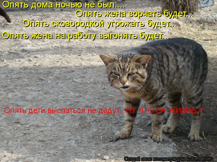 Котоматрица: Опять дома ночью не был.... Опять жена ворчать будет... Опять сковородкой угрожать будет... Опять жена на работу выгонять будет... Опять дети вы