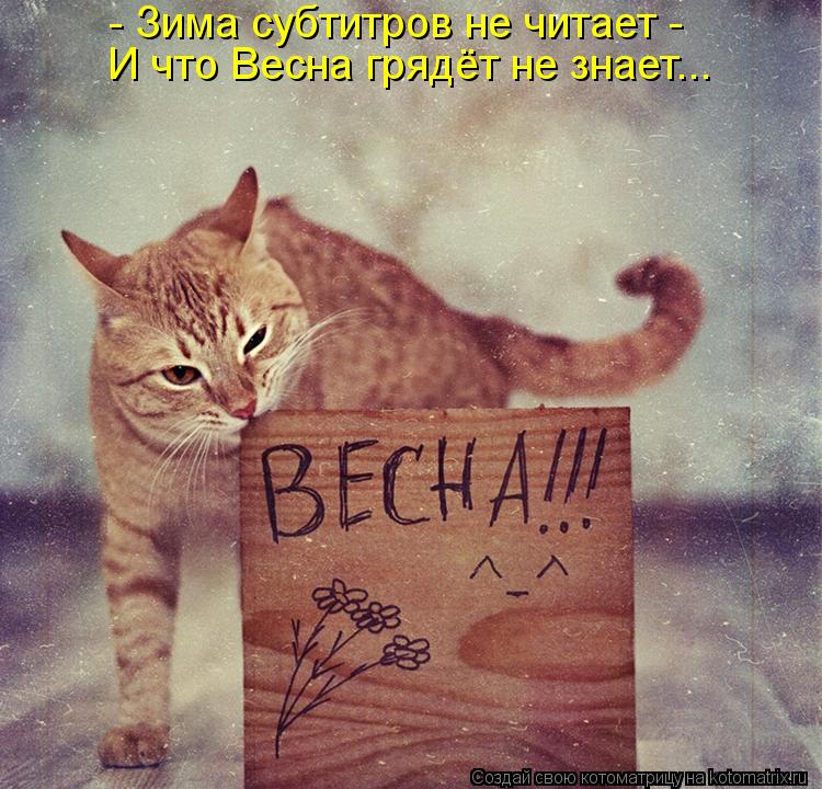 Котоматрица: - Зима субтитров не читает -  И что Весна грядёт не знает...