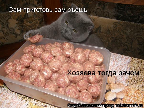 Котоматрица: Сам приготовь,сам съешь Хозяева тогда зачем.