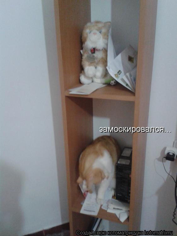 Котоматрица: замоскировался...