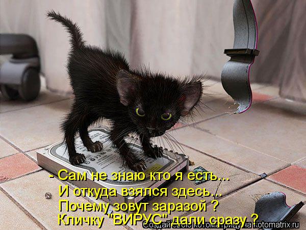 Котоматрица: - Сам не знаю кто я есть... И откуда взялся здесь... Почему зовут заразой ? Кличку "ВИРУС" дали сразу ?