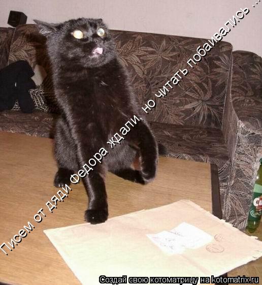Котоматрица: Писем от дяди Федора ждали, но читать побаивались ...