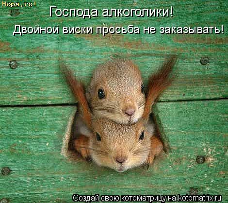 Господа алкоголики! Двойной виски просьба не заказывать!... Котоматрица: Господа алкоголики! Двойной виски просьба не заказывать!