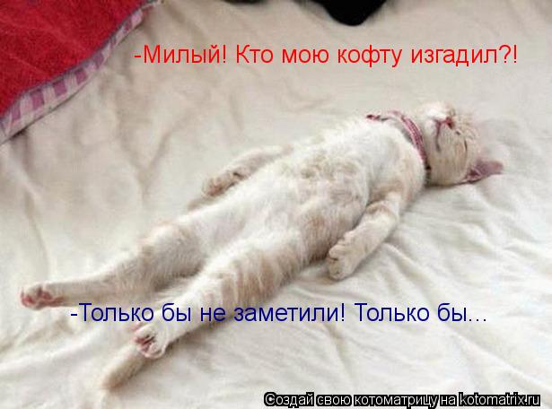 Котоматрица: -Только бы не заметили! Только бы... -Милый! Кто мою кофту изгадил?!