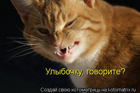 Котоматрица: Улыбочку, говорите?