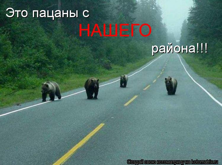 Котоматрица: Это пацаны с НАШЕГО района!!!