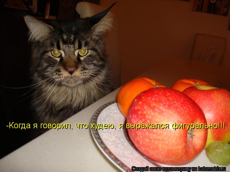 Котоматрица: -Когда я говорил, что худею, я выражался фигурально!!!