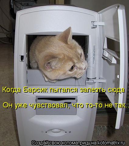 Котоматрица: Когда Барсик пытался залезть сюда Он уже чувствовал, что то-то не так..