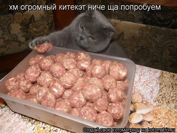 Котоматрица: хм огромный китекэт ниче ща попробуем