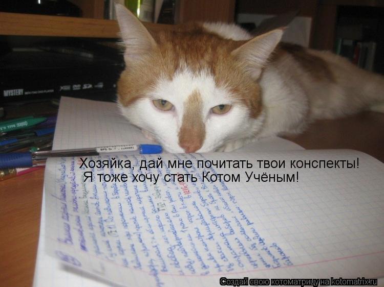 Котоматрица: Хозяйка, дай мне почитать твои конспекты! Я тоже хочу стать Котом Учёным!