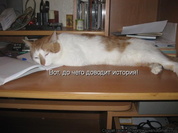 Котоматрица: Вот, до чего доводит история!