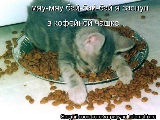 Котоматрица: мяу-мяу бай-бай-бай я заснул в кофейной чашке