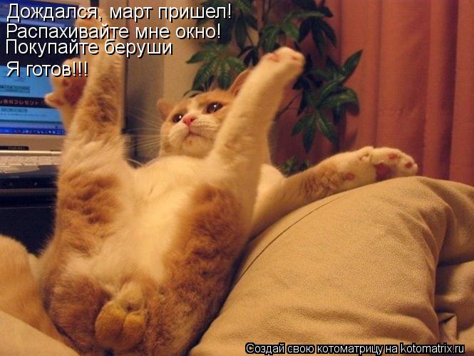 Дождался, март пришел! Распахивайте мне окно! Покупайте беруши Я готов!!!... Котоматрица: Дождался, март пришел! Распахивайте мне окно! Покупайте беруши Я готов!!!