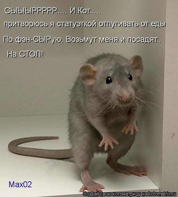 Котоматрица: СЫЫЫРРРРР..... И Кот.....  притворюсь я статуэткой отпугивать от еды По фэн-СЫРую, Возьмут меня и посадят.. На СТОЛ!  Мах02