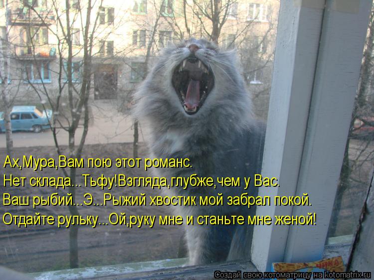 Котоматрица: Ах,Мура,Вам пою этот романс. Нет склада...Тьфу!Взгляда,глубже,чем у Вас. Ваш рыбий...Э...Рыжий хвостик мой забрал покой. Отдайте рульку...Ой,руку 
