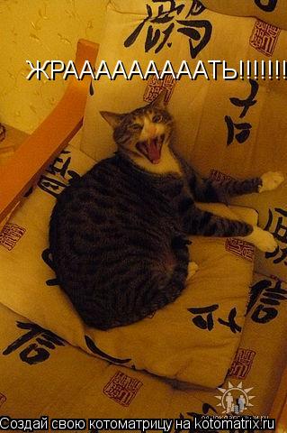 Котоматрица: ЖРАААААААААТЬ!!!!!!!